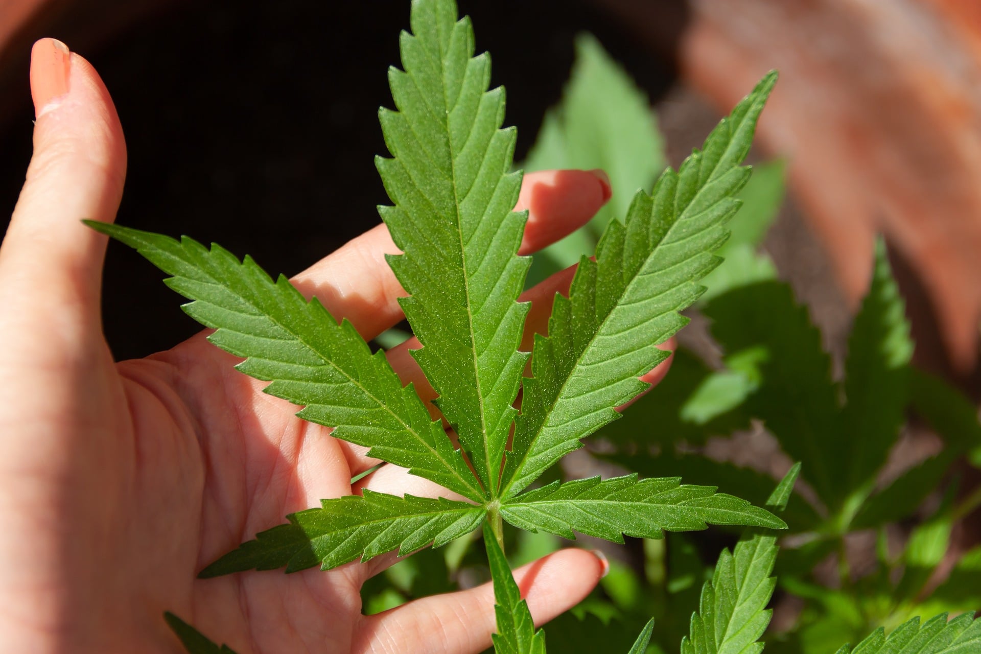 Opnieuw bewijs van drugsactiviteiten bij controles