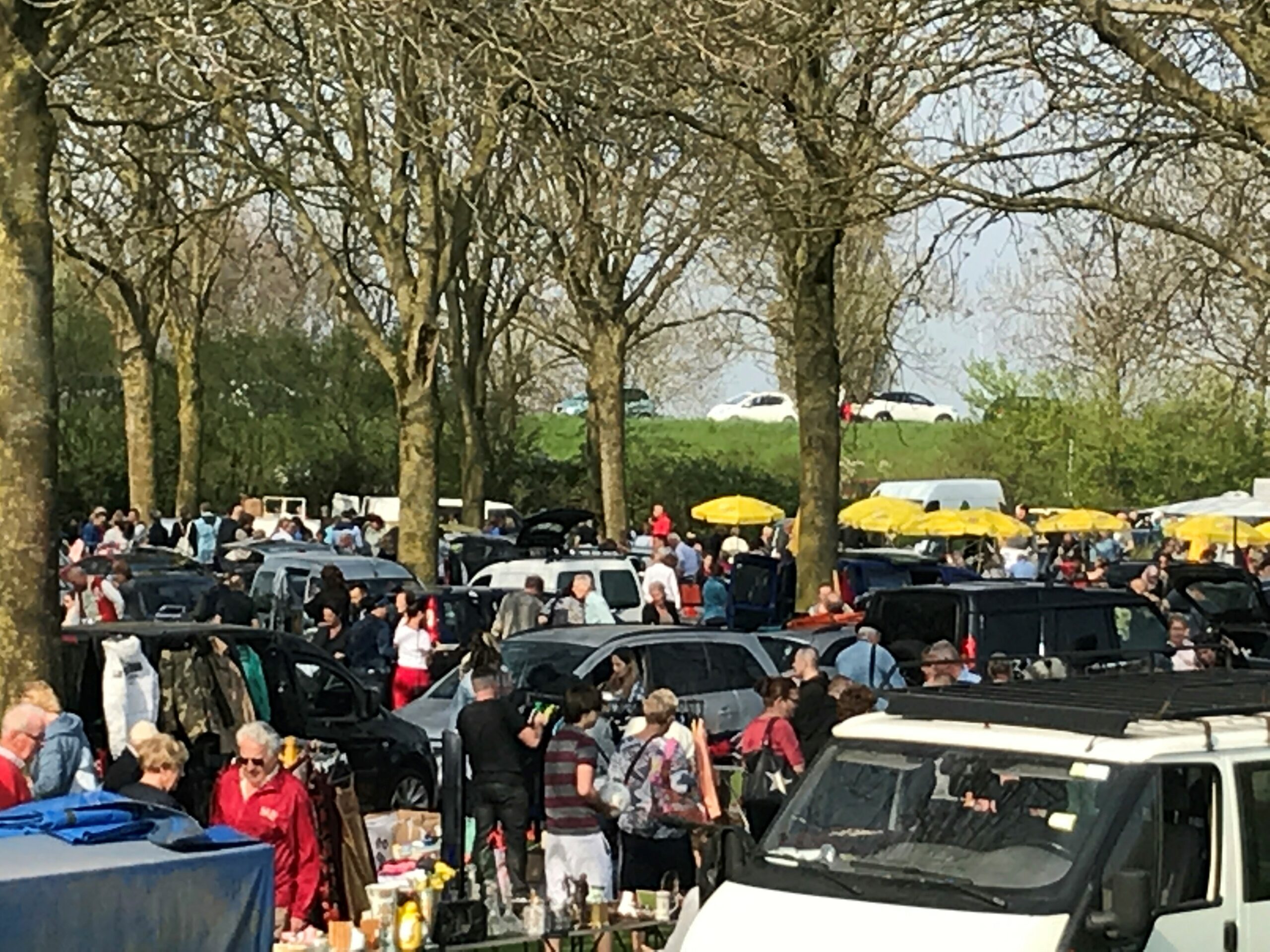 Kofferbakmarkt Wervershoof Medemblik Actueel