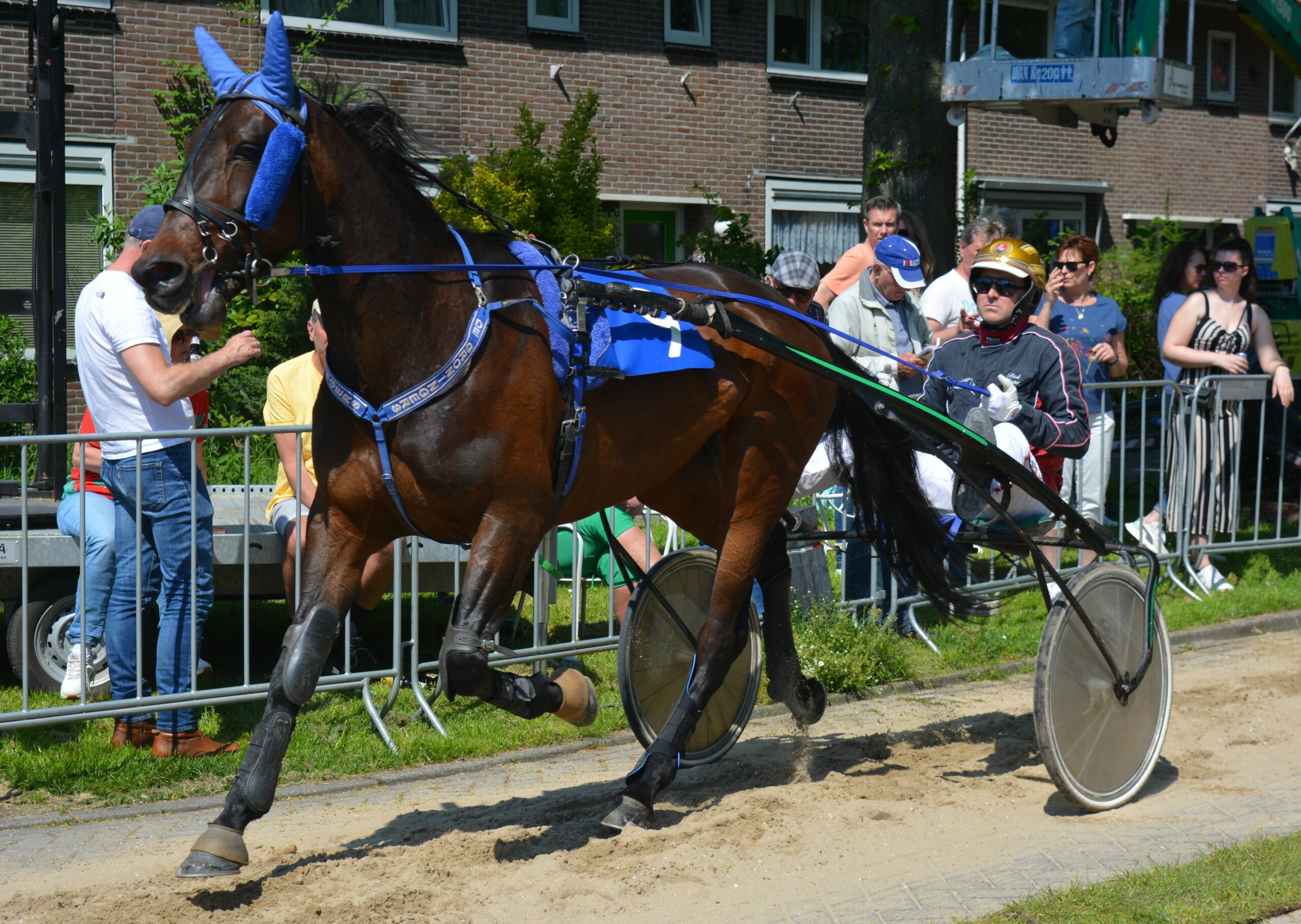 Candy Blue Chip krijgt herkansing in Wognum