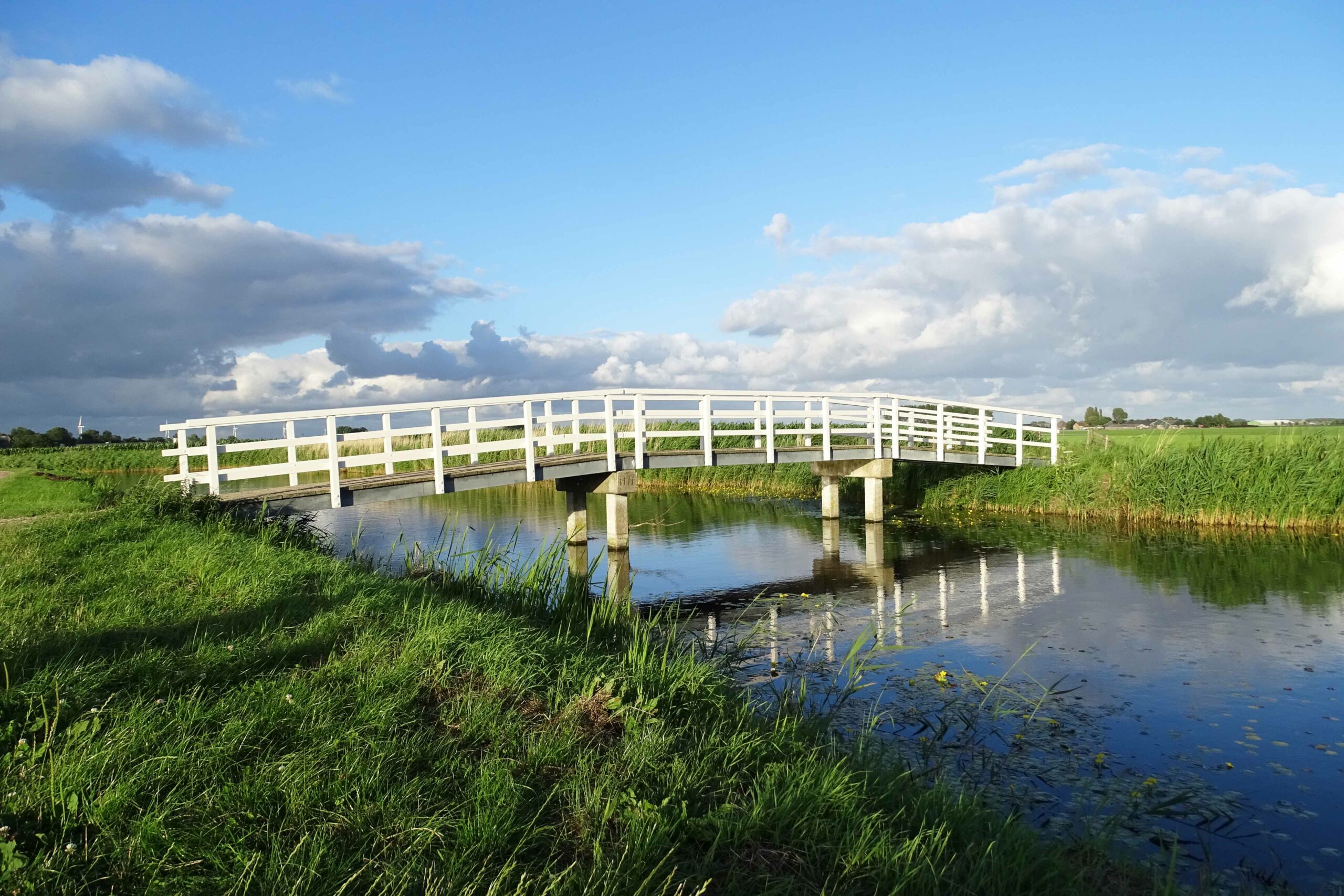 Excursie Braakpolder met natuurgids vanuit Rundveemuseum