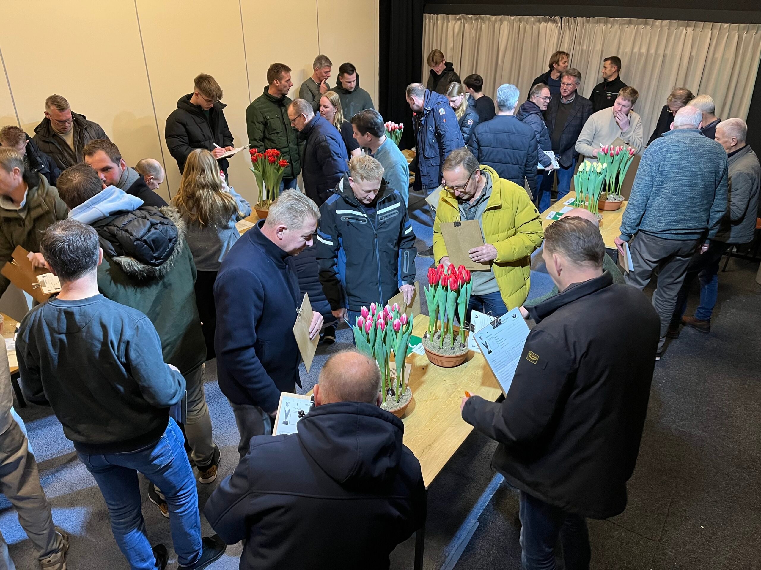 Tulpenkeuring in Wervershoof: Een spannend nieuw seizoen van start