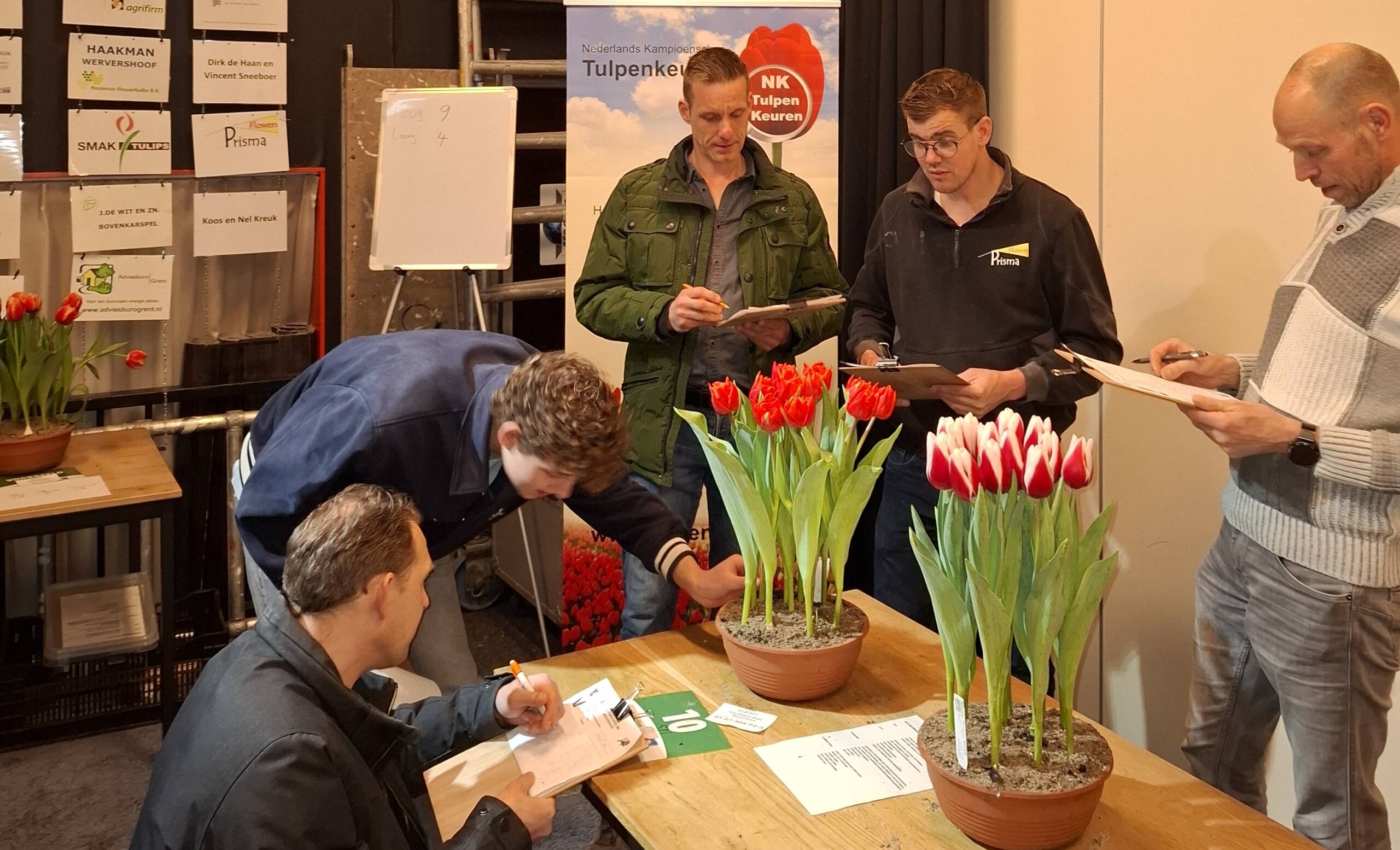 Maths Hoff wint vierde tulpenkeuring van het seizoen