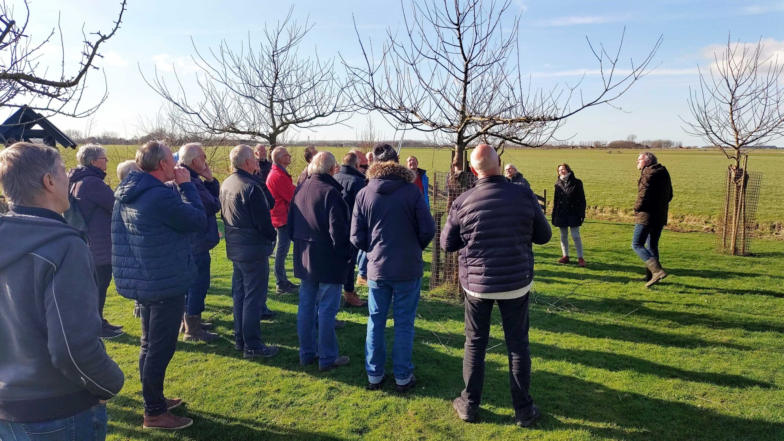 Snoeiles op zaterdag 5 april bij Rundveemuseum Aartswoud