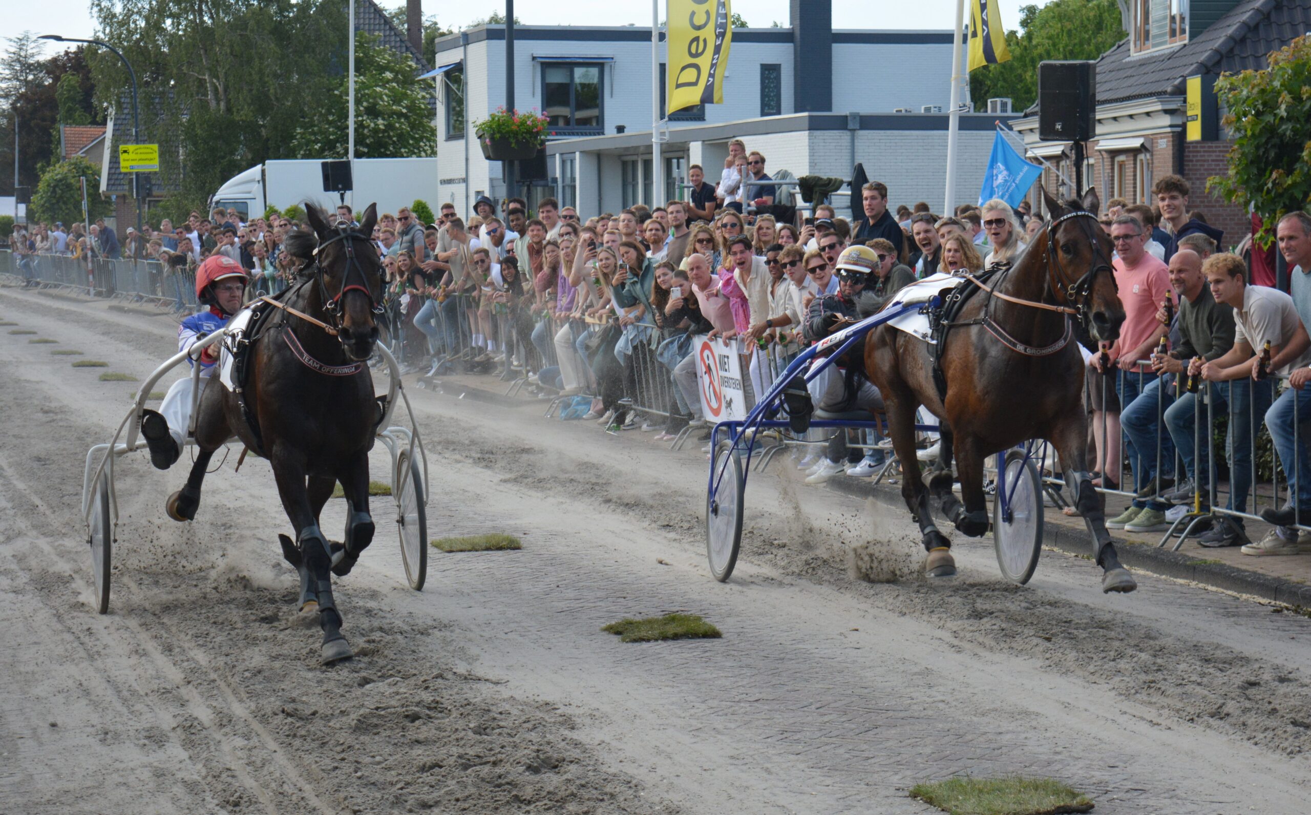 Debutant Despot Power verrast de favorieten in Wognum