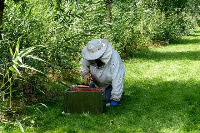 Onverlaten stelen wederom bijenkasten bij het Egboetje