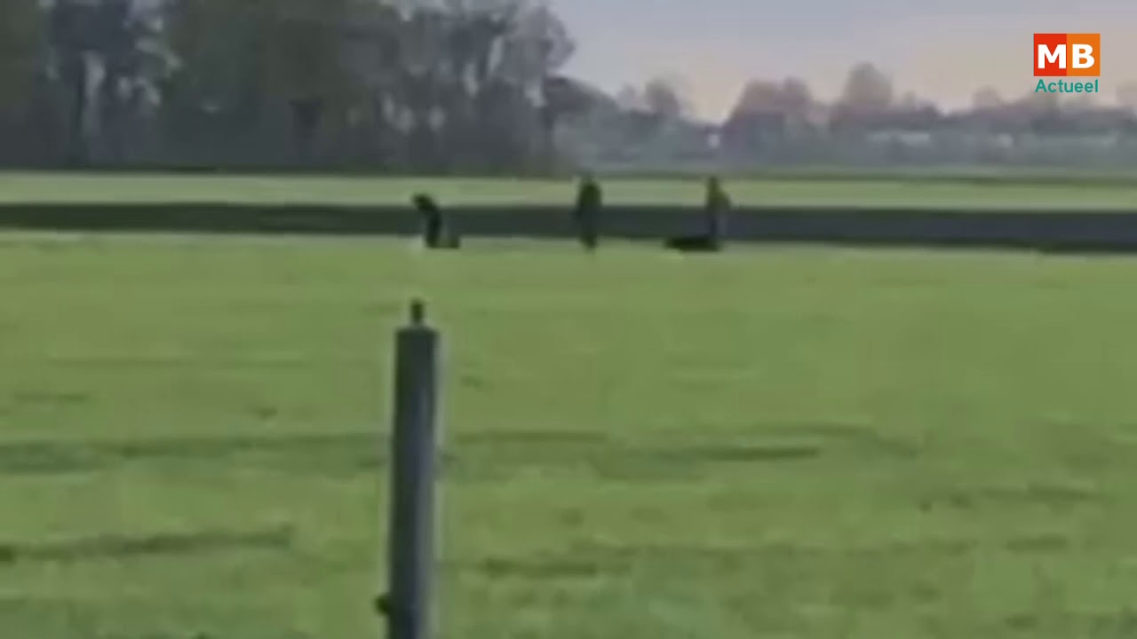 Afschieten zwanen Egboetswater was legaal