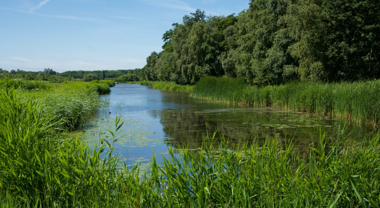 IVN Vroege vogelvaartocht door De Weelen - Medemblik Actueel