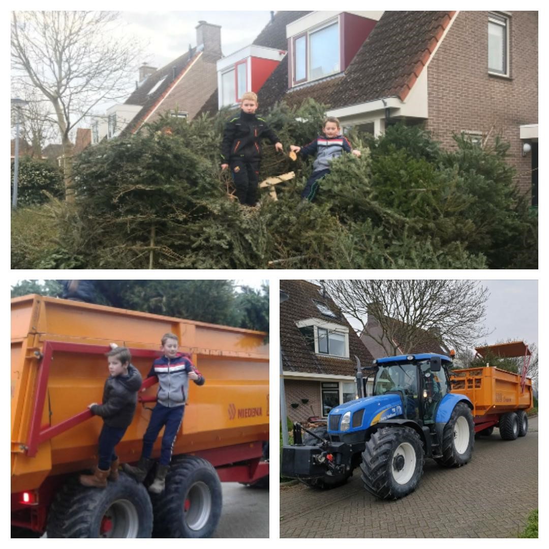 Tim, Bjorn en Joey willen record aantal kerstbomen gaan ophalen