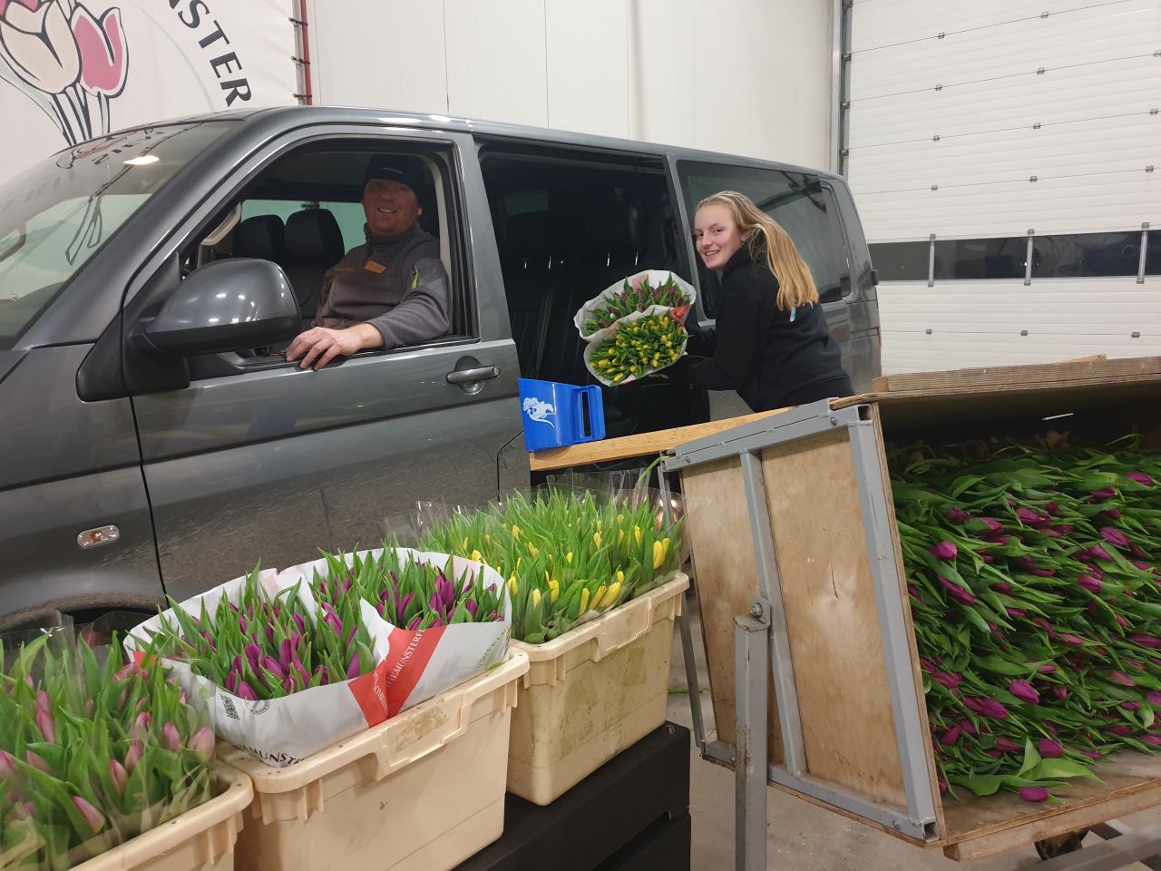 Tulpen Drive Thru met kraampjesroute in Wieringermeer