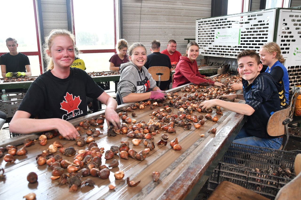 Carmen pelt bollen voor haar rijbewijs