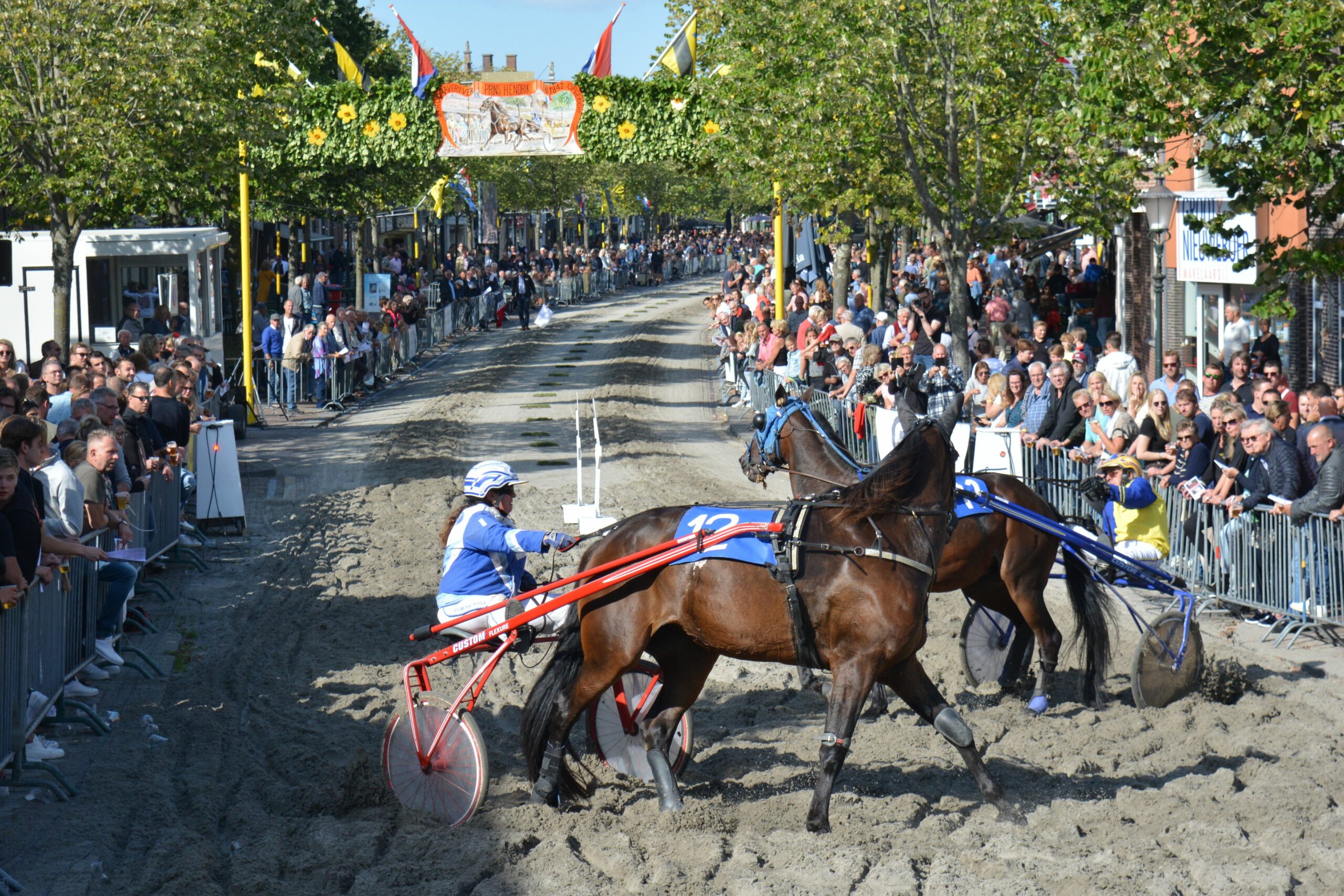Paarden Stal de Groningers blikvangers in Medemblik - Medemblik Actueel