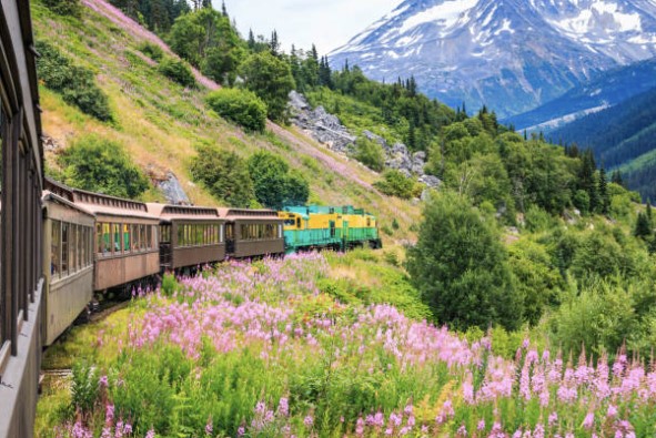 Discover stunning landscapes by rail